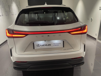 Photo 5 du bon plan LEXUS NX 350h Pack Business 2WD MY24 occasion à 43990 €