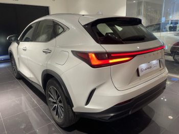 Photo 6 du bon plan LEXUS NX 350h Pack Business 2WD MY24 occasion à 43990 €