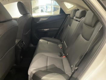 Photo 13 du bon plan LEXUS NX 350h Pack Business 2WD MY24 occasion à 43990 €