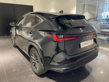 Photo 6 du bon plan LEXUS NX 350h Luxe 2WD MY25 occasion à 44990 €