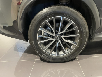 Photo 7 du bon plan LEXUS NX 350h Luxe 2WD MY25 occasion à 44990 €