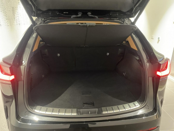 Photo 10 du bon plan LEXUS NX 350h Luxe 2WD MY25 occasion à 44990 €