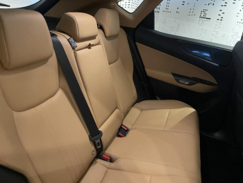 Photo 14 du bon plan LEXUS NX 350h Luxe 2WD MY25 occasion à 44990 €