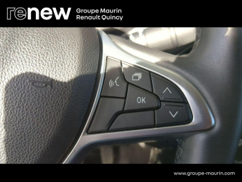 Photo 22 du bon plan DACIA Sandero 1.0 TCe 90ch Stepway Confort CVT -22 occasion à 13990 €