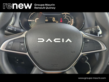 Photo 13 du bon plan DACIA Spring 45ch Expression occasion à 10290 €