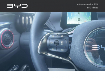 Photo 27 du bon plan BYD Atto 3 204ch - 60,5 kWh Design occasion à 30990 €
